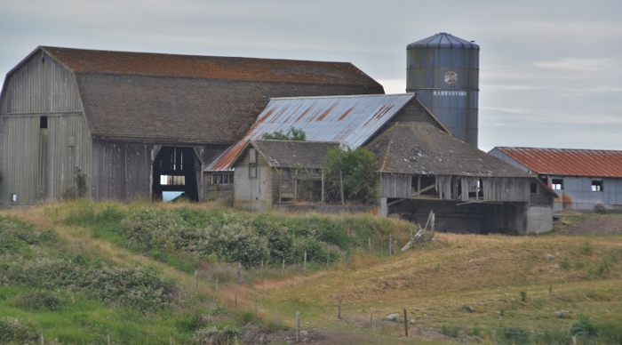 Ferndale farm